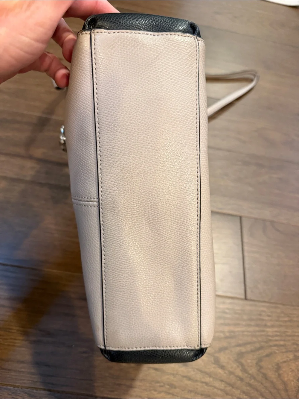 Coach Christie Carryall Mini Bag - C15-034